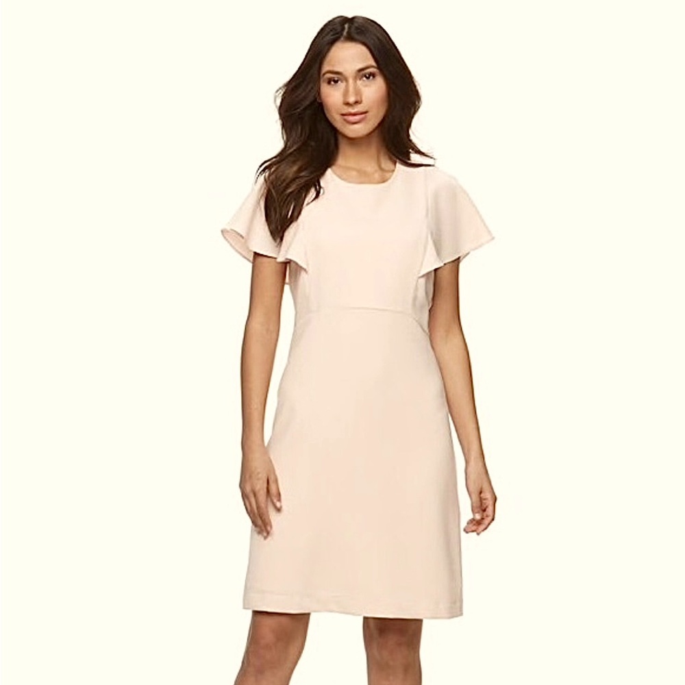 Sharagano ruffled sleeve dress Size 6